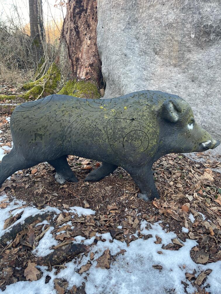 Wildschwein(2)